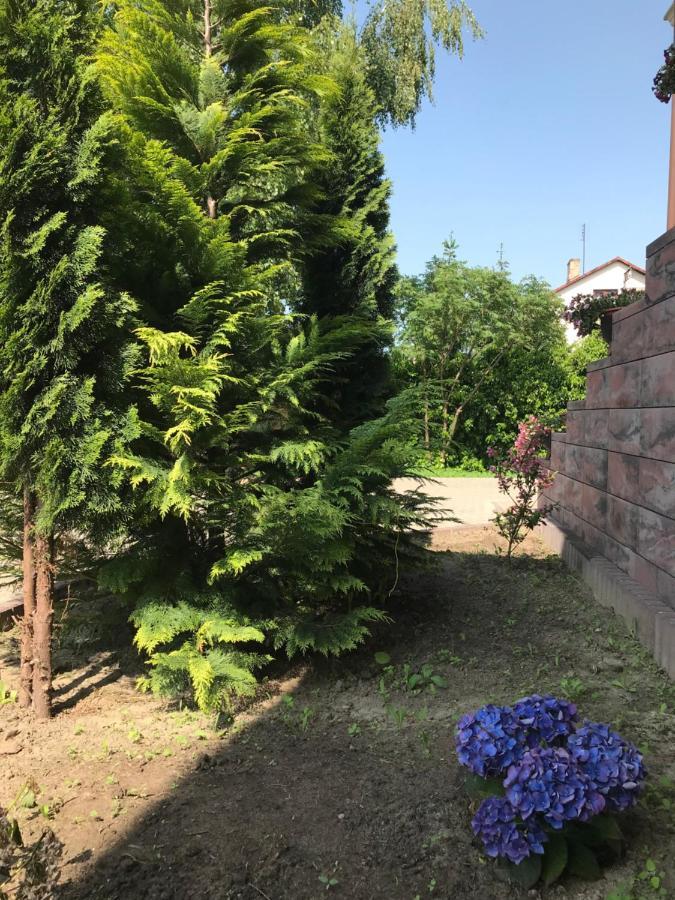 Noclegi Viva Mszczonów Kültér fotó